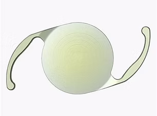 Panoptix Lens